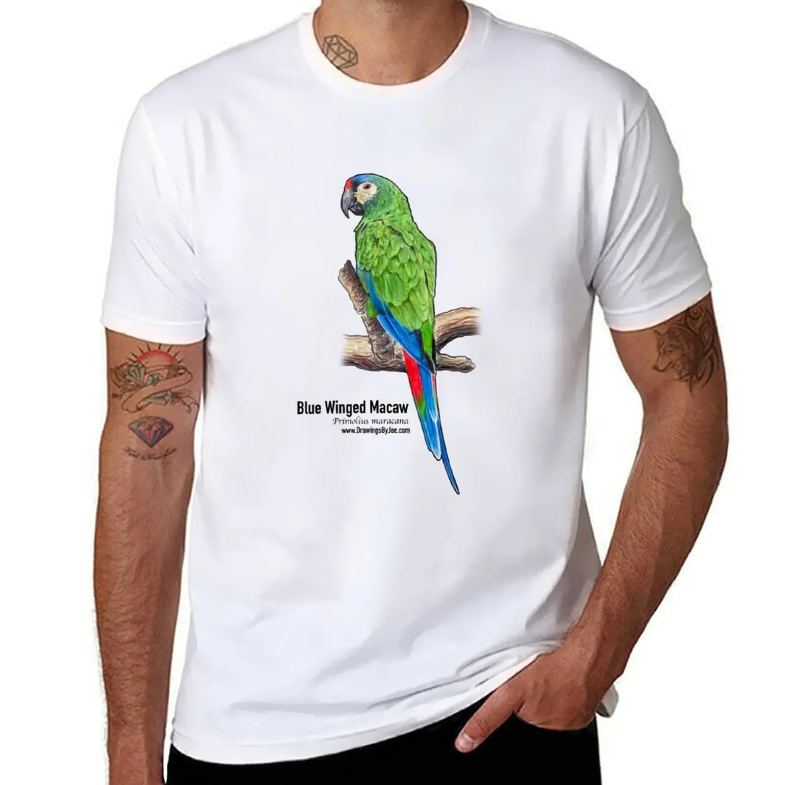 

Blue Winged Macaw T-Shirt cotton t shirt man anime t shirts oversize t shirt man cotton T-Shirt