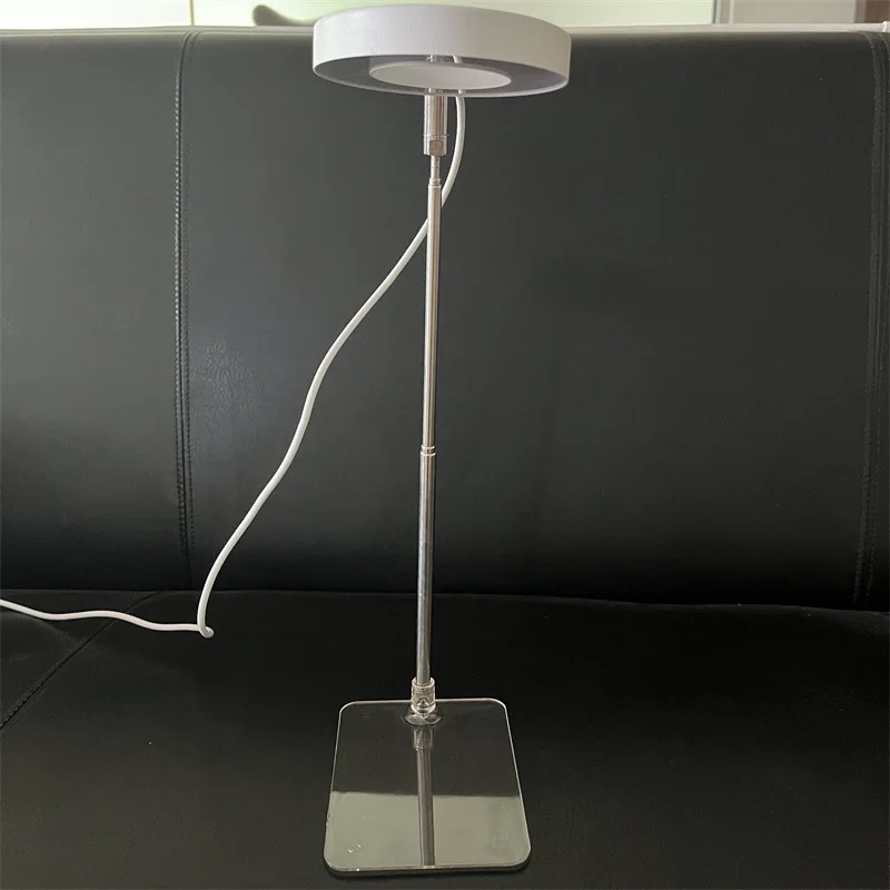 Lumière de remplissage télescopique d'intérieur pour plantes vertes succulentes, lumière de croissance des plantes à LED, lumière de fleur, plein