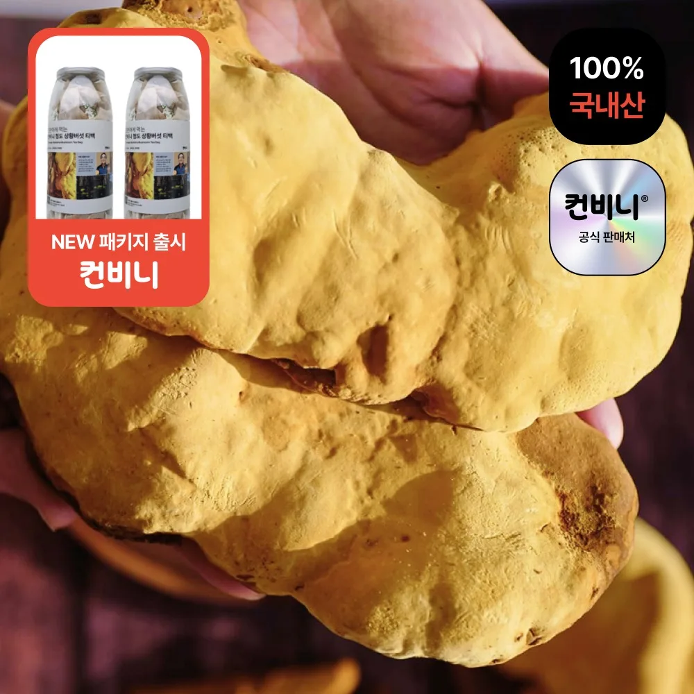 간편하게 끓여먹는 컨비니 상황버섯 절편