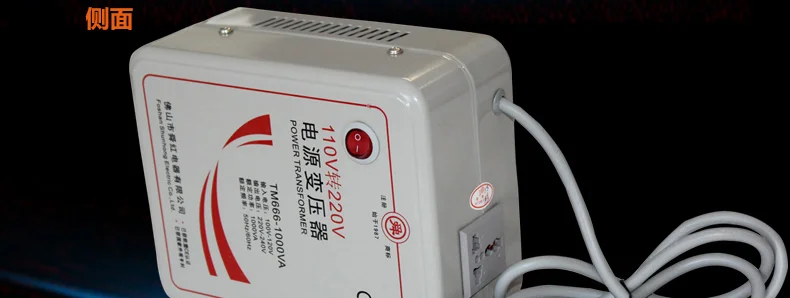 محول شونهونغ صيني قوانغدونغ 1000 وات محول طاقة من 110 إلى 220 فولت محول طاقة max1000w