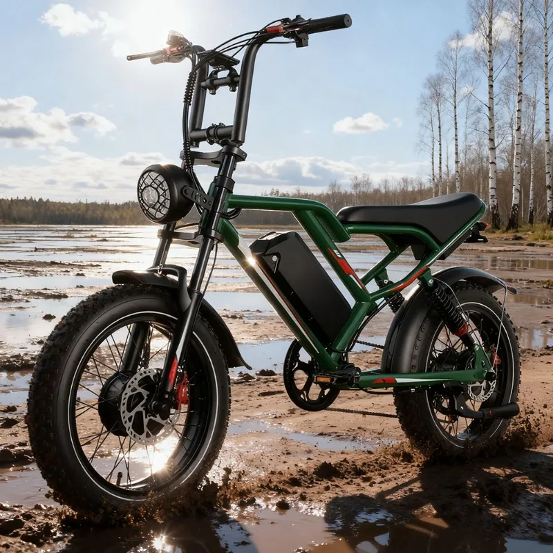 

SXLL 2000W adult electric bicycle remote off-road electric bicycle, integrated 48v lithium battery central motor