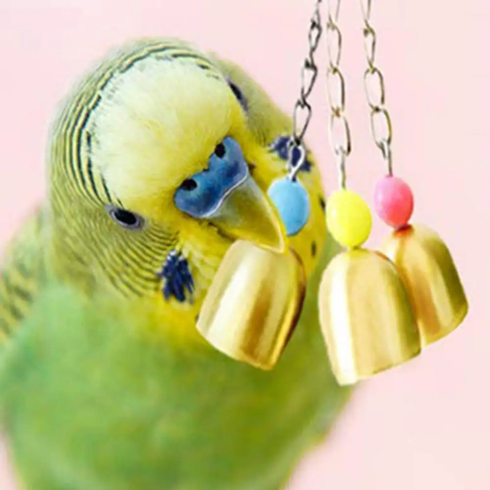 

Pet Bird Bites Toy Parrot Chew Ball Swing Cage Hanging Cockatiel Birds Toys 3 Bell Chain Cage Stand Bite Playing Sound Toy