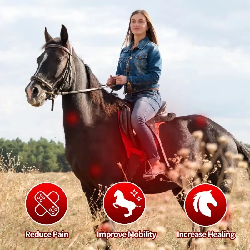 LED Light Therapy 660nm Red Light 850nm Infrared Light Therapy Blanket for Horse