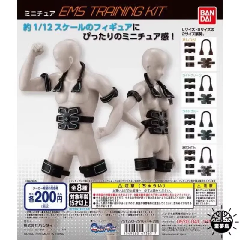 BANDAI Gashapon Figure Anime Cute 1/12 Exercise Wrist Guard Knee Armor Miniature Kawaii Capsule Toys Doll Accessories Gift