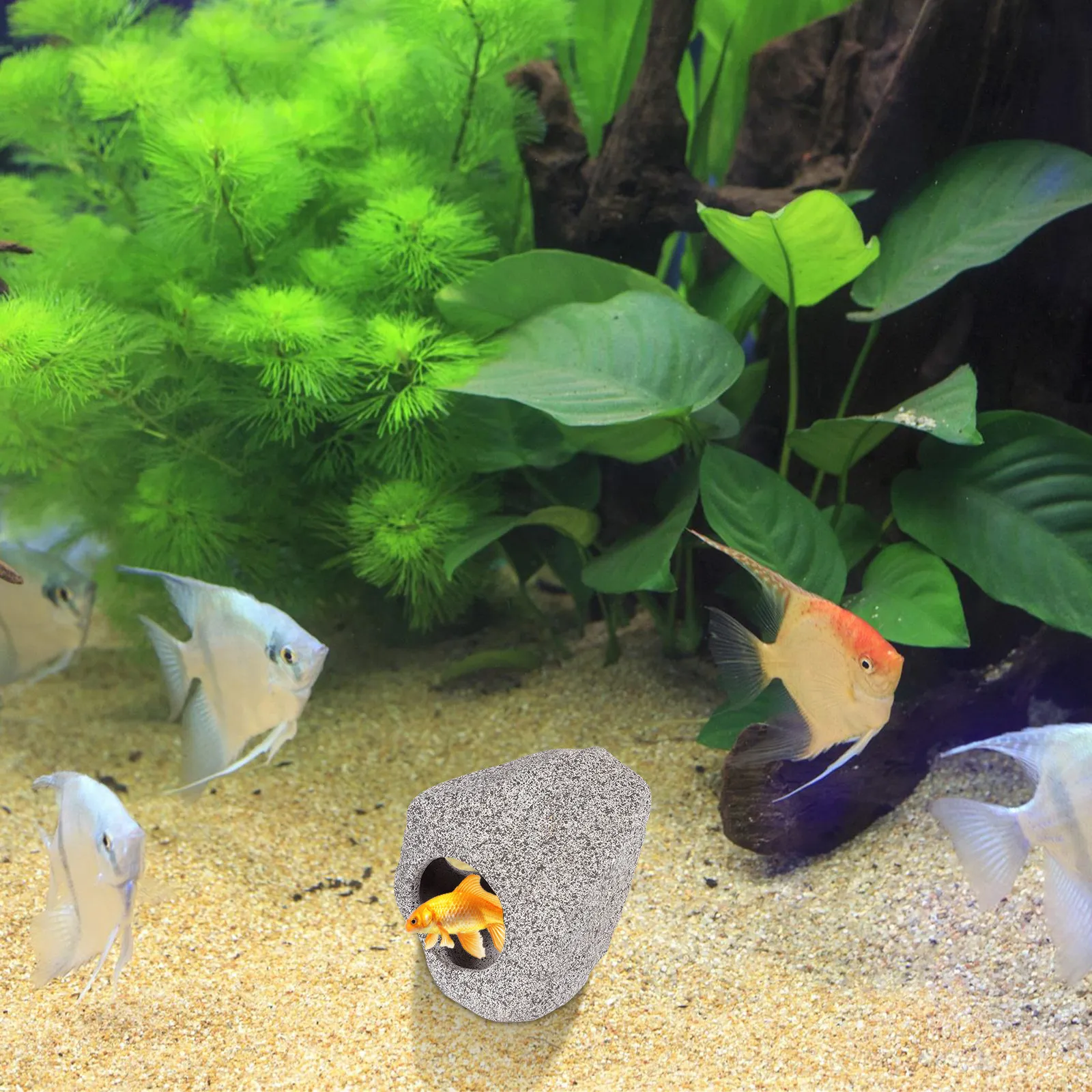Hideaway Stone Ceramic Fish Tank Shrimp Cave Rest Shelter Fish Breeding Safe Ornament Aquarium Decor Nitrifying Bacteria Tank