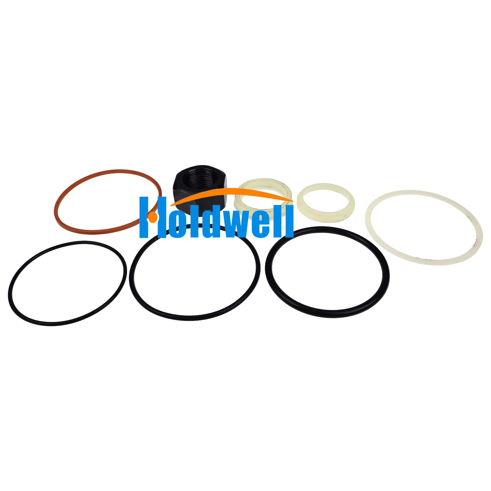 Holdwell Cylinder Seal Kit 7196894 7135555 for Bobcat Loader 753 763 773 T140 S130