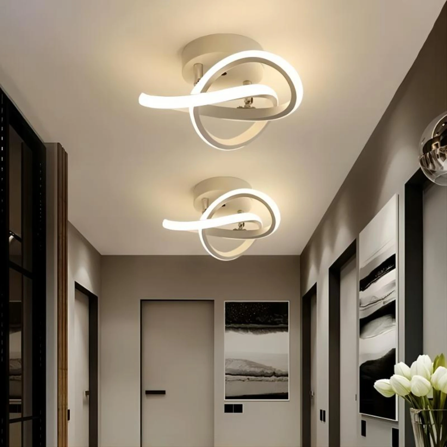 Stylish Modern Elegant Ceiling Light Fixture with Lustre for Office, Hallway, Balcony - Three Colors, 220V Indoor Lighting Solut