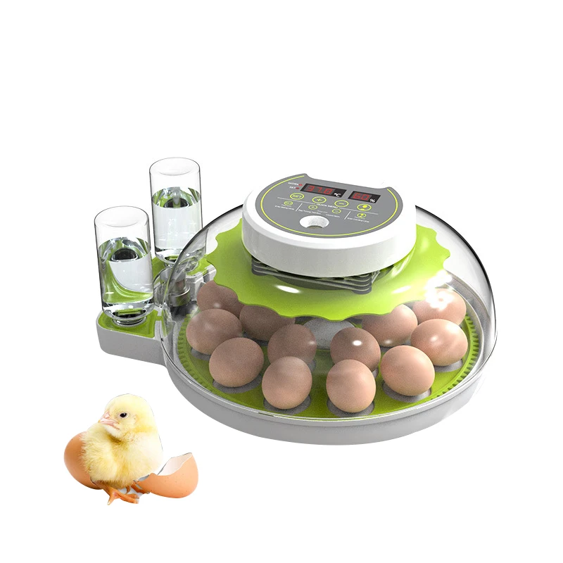 

STLFAutomatic EggsIncubator 12v 220v Chicken and 8 18 Bird EggsHatching Machine for School Teaching Home Use