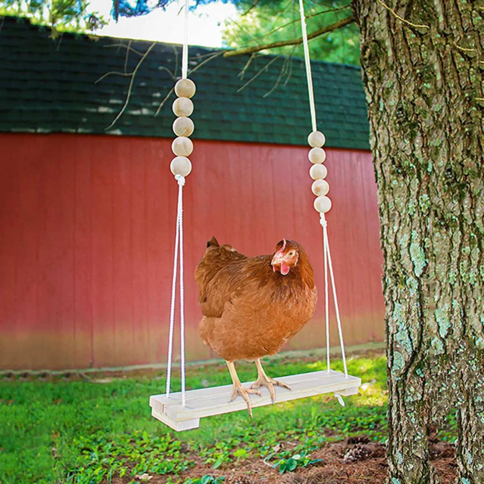 Wooden Chicken Swing Chicken Toys Exercise Toy Handmade Durable Entertainment  Stress Relief Toy for Chicken Bird Poultry