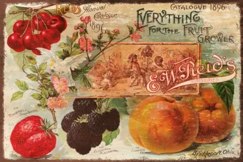 Fruit Growers Catalogue Vintage Gardening Advert, Aged Look New Metal Sign