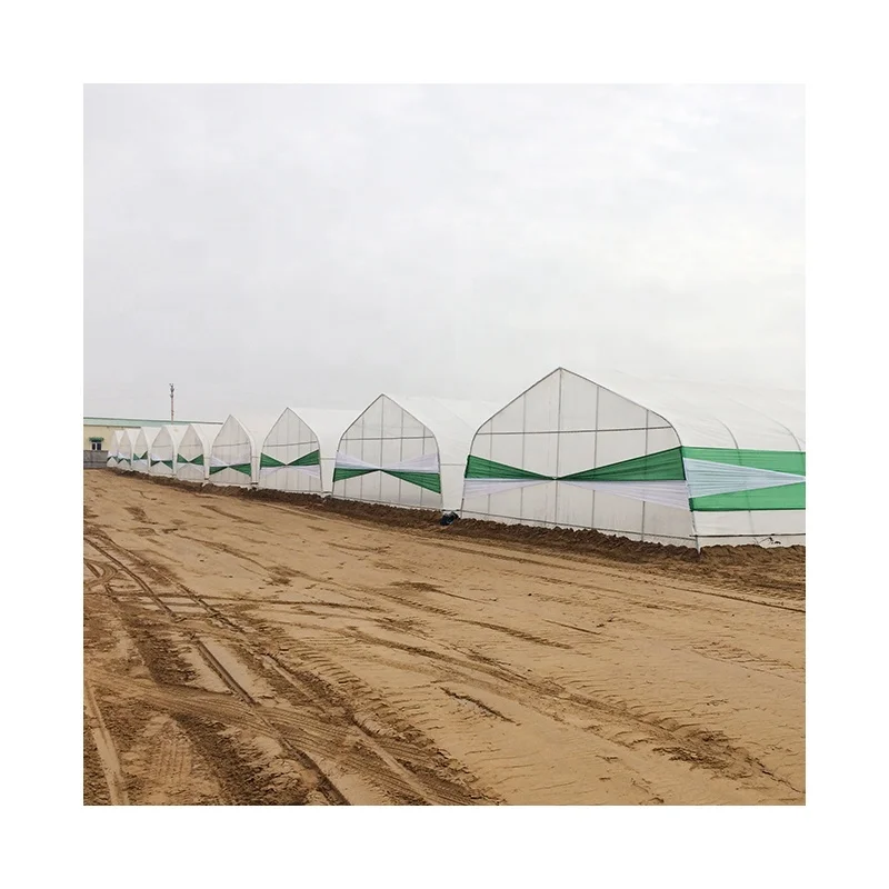 2025Электрический скручиватель пленки в теплице из пластиковой пленки на крыше или боковой автоматический скручивающий блок