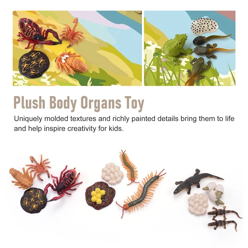 21 PCS Simulation Animals Growth Cycle Scorpion Centipede Frog Crocodile Life Cycle Models Figures Educational Kids Toys