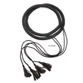 B Headband