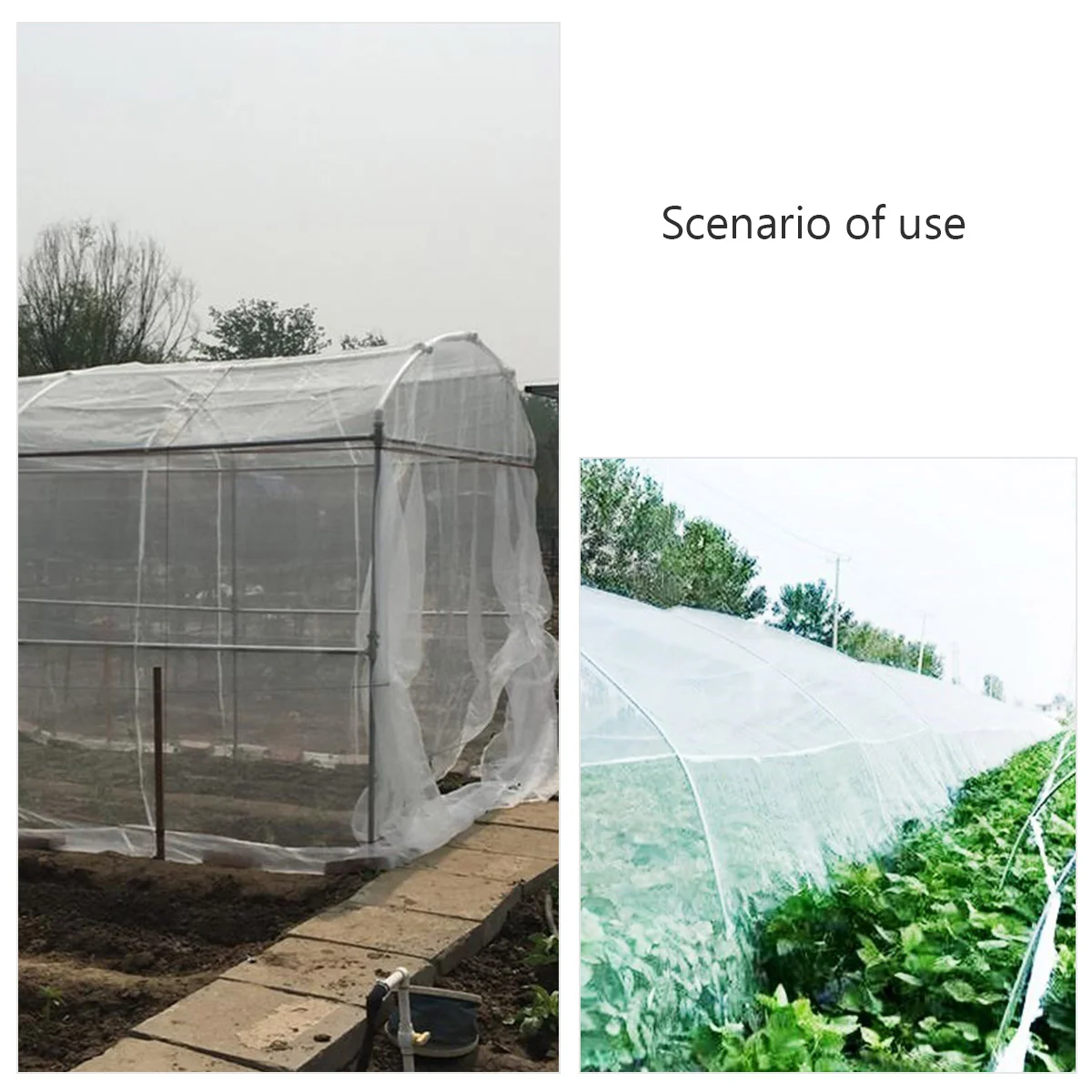 شبكة حماية الحشرات للنباتات، شبكة فصل متينة، غطاء حاجز الطيور في الحديقة لحماية المحاصيل والشجيرات في الهواء الطلق