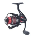 Black Red