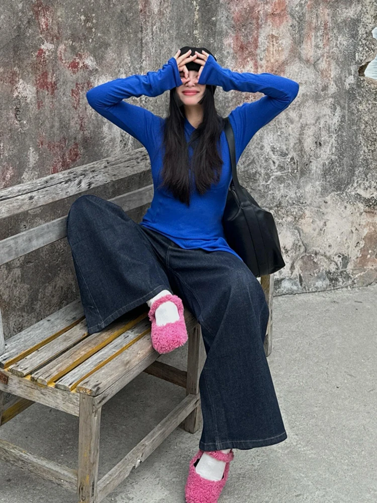 Cseta de Manga Larga de Seda de Hielo Azul Klein con Corte Irregular para Mujer, Protección Solar, ra y Fresca para Ve...