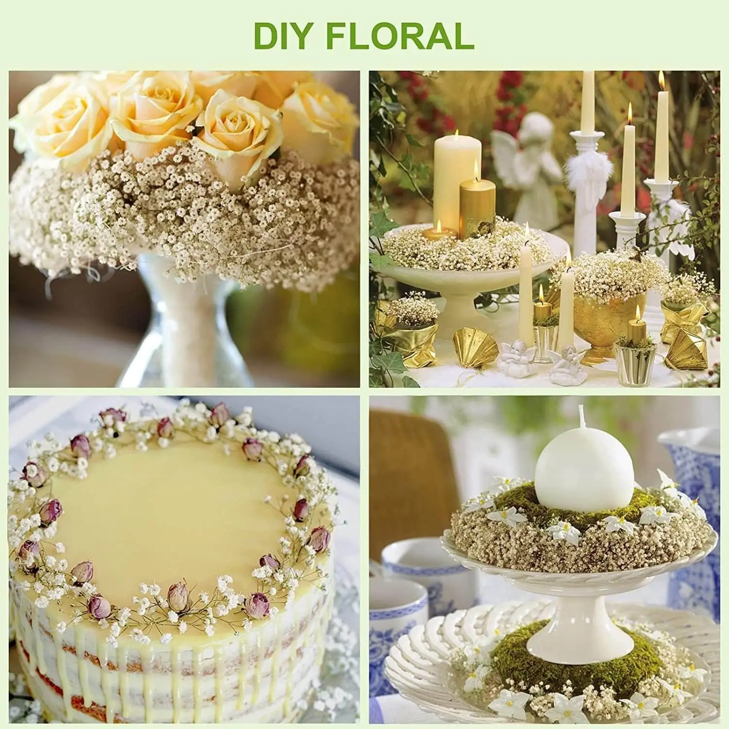 Fleurs pouvez-vous psophila Naturelles vaccées Fraîches, Bouquets de Souffle Éternelle, Cadeau de la Journée des Léons, Décoration de Mariage, Boho, pour la Maison