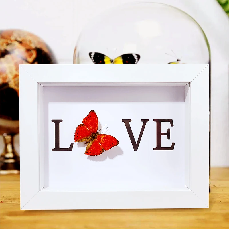 Real Red Butterfly Specimen Decorative Painting Crafts Home Desktop Wall Decoration Girlfriend Confessions Couple Gifts