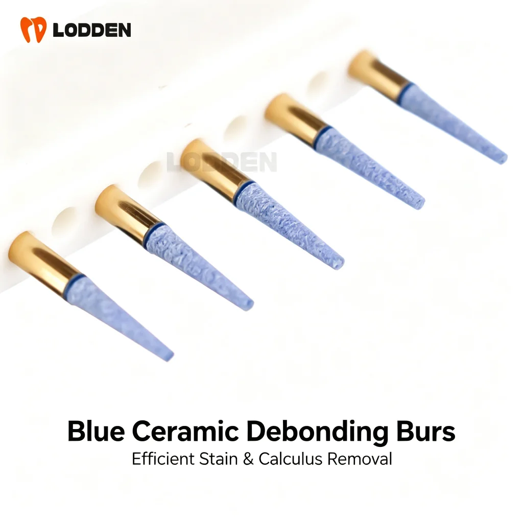 5pcs LODDEN Dental Cleaning Burs After Debonding for ​Remove Calculus Stains Low-speed Machine Polishing Tools Dentisty Clinic