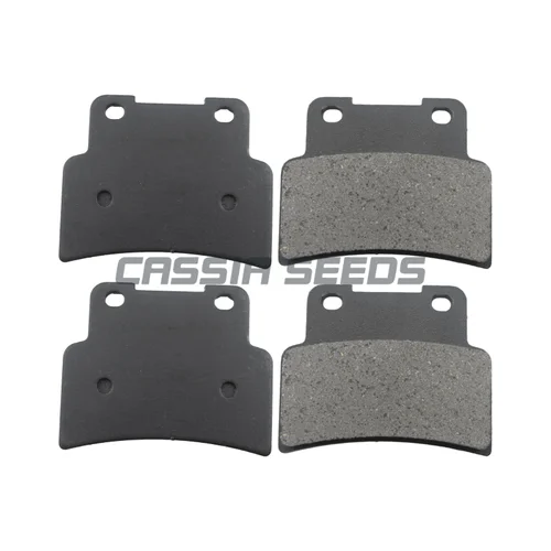 Imagen 2 del producto Pastillas de freno delantero y trasero para motocicleta, accesorio ABS para Aprilia Dorsoduro 750, 200, 8-2018, Dorsoduro 900, 201, 7-2021, Shiver 750, 07-18