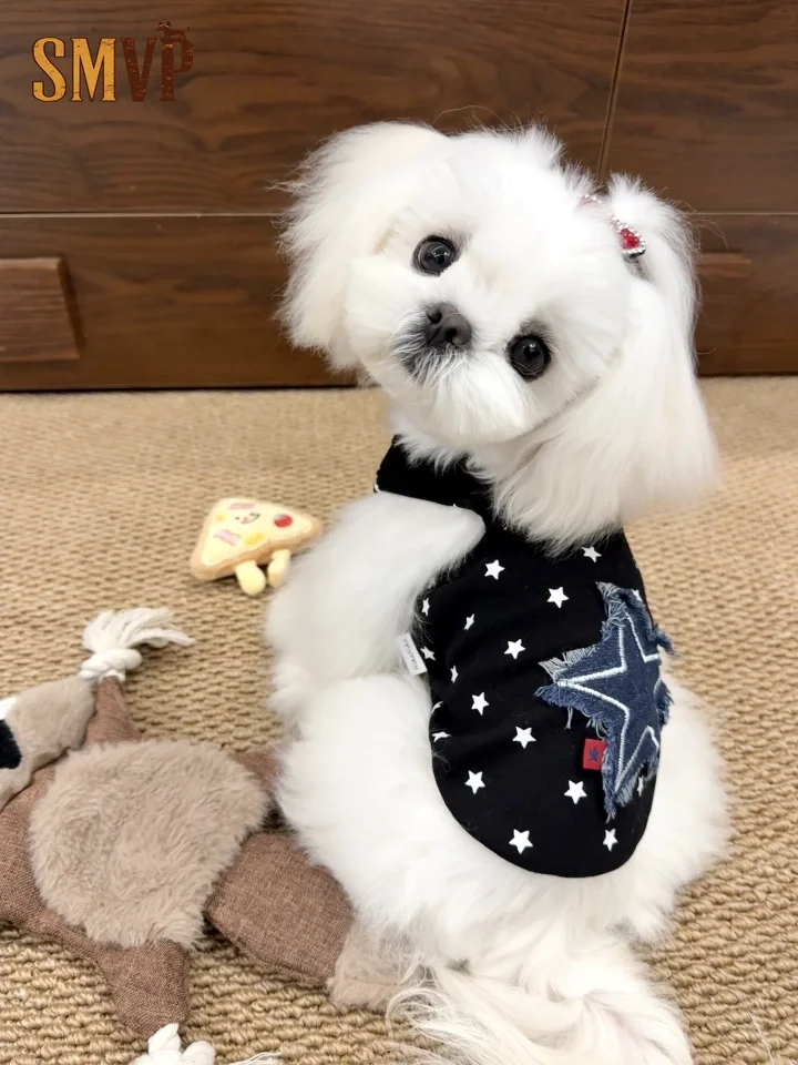 

Spring Summer Cotton Breathable Star Denim Ripped Cool Handsome Style Tank Tops and Hoodies Kitten Small Medium Pet Dog Clothes