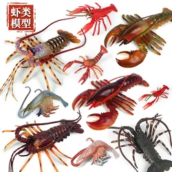 Ocean Life Underwater World Model Australian Lobster Mantis Shrimp Crab Clown Fish Kids Plastic Animals Toys Aquarium Decor Set