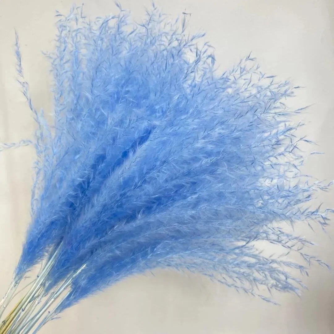 

30pcs Fluffy Pampas Grass XL Size Brown Dry Pompous Grass Decor Wedding Flower Boho Decor Natural Pompas Flower Bouquet
