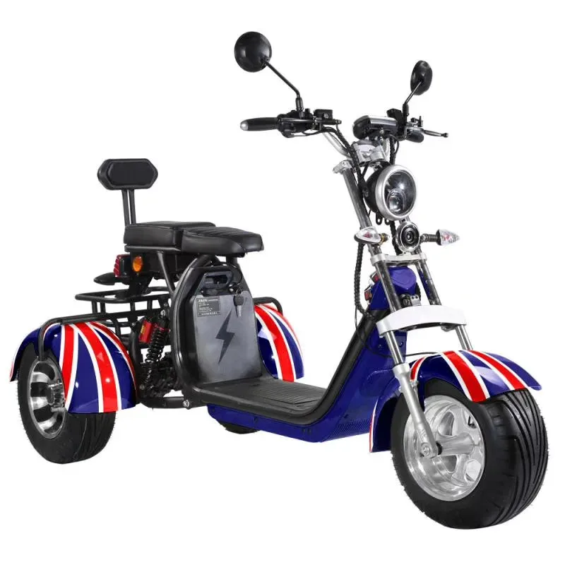 Factory Hot Selling New Disc Brake Electric Tricycle Scooters Eec/coc Citycoco 3000W/2000w  Bike Steel Frame For Men  Motorcycle