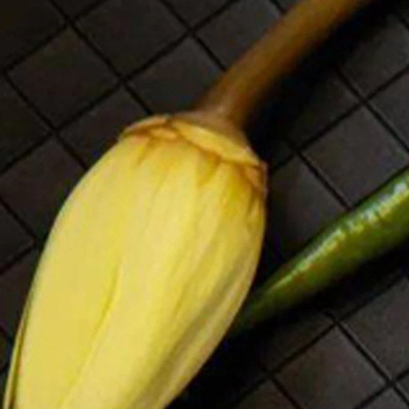 

Электрическая многофункциональная машина для нарезки лука, овощей, фруктов, помидоров, огурцов и моркови