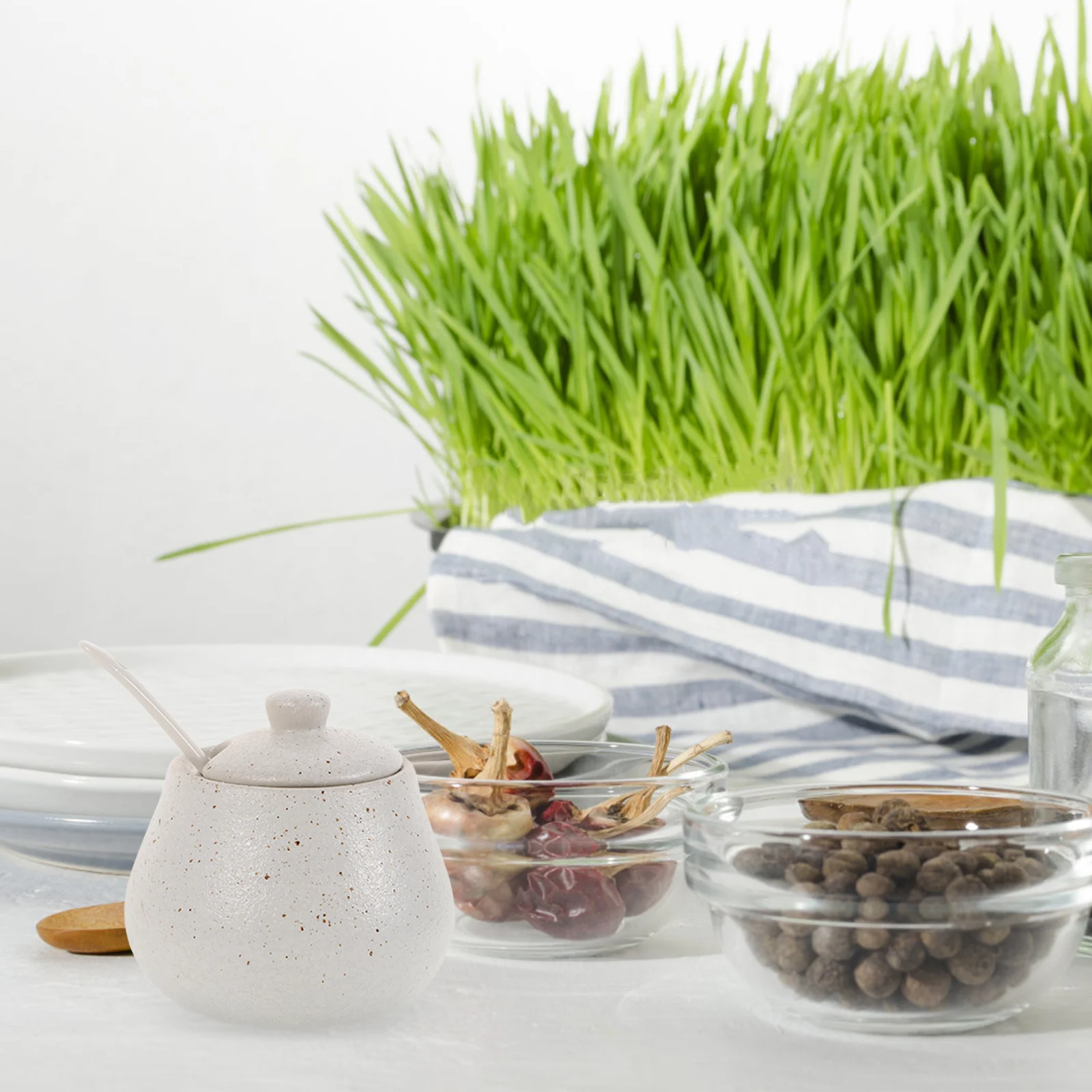 

1Set Ceramic Condiment Set with Lid and Spoon Japanese Style Seasoning Box for Freshness Preservation High Temperature Resistant