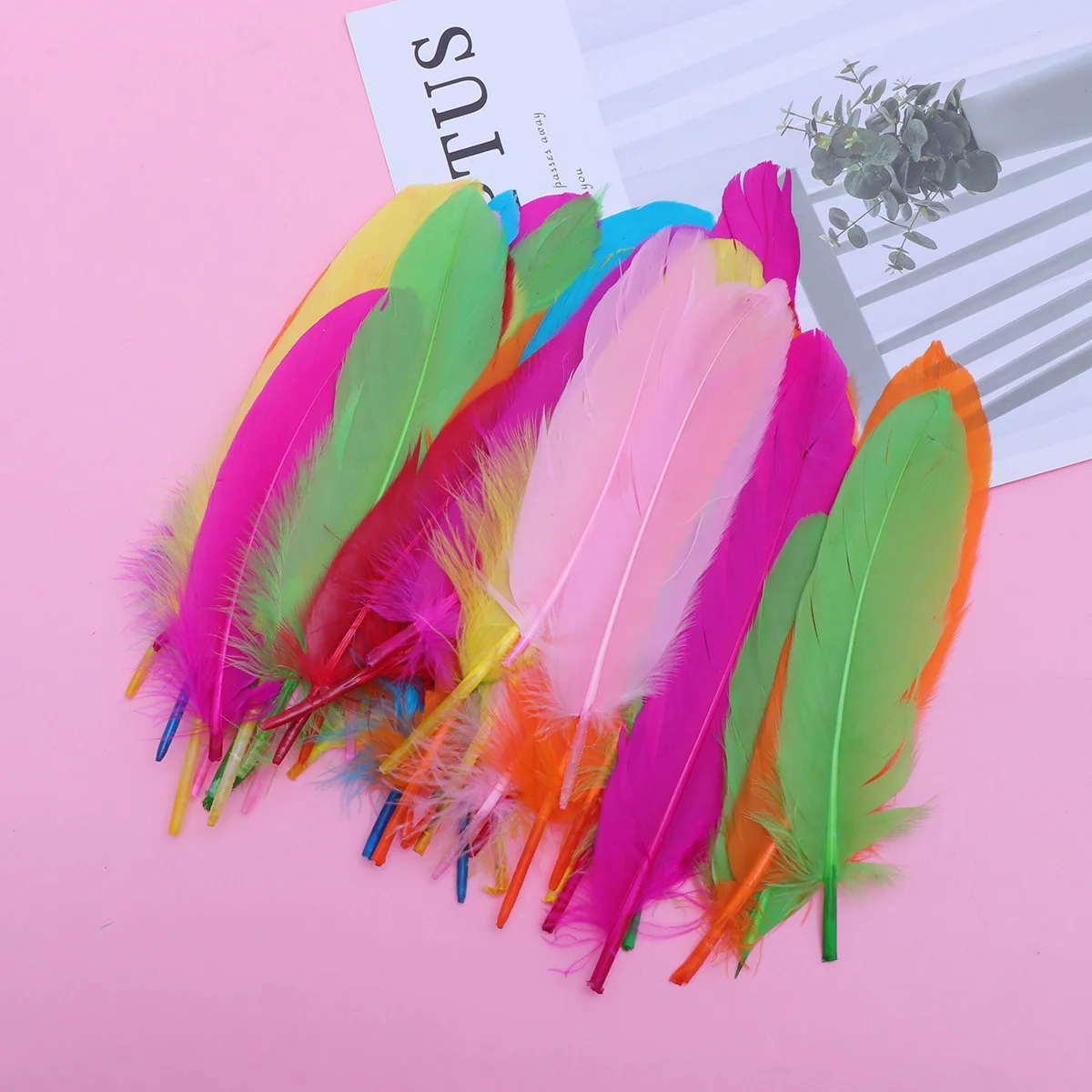 

100pcs Colorful Natural Bright Party Wedding DIY Craft Supplies Decoration Accessories for Home Birthday Event