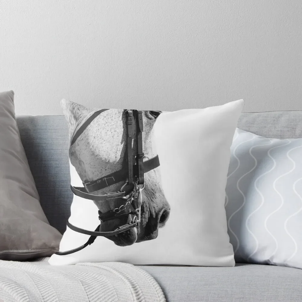

Double Bridle - Dressage Horse Series Throw Pillow pillow cover christmas Decorative pillowcase pillow