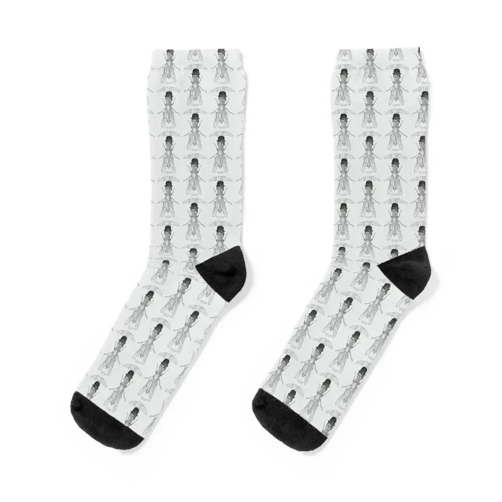 

“I am a cage, in search of a bird.” ― Franz Kafka Socks aesthetic designer Heating sock Sports Socks Ladies Men's