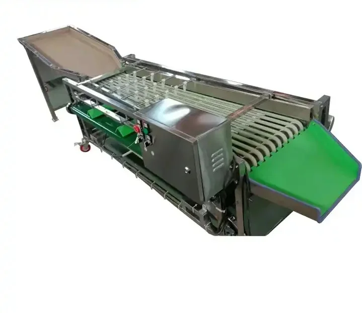 

Automatic Stainless Steel Conveyor Belt Fruit Vegetable Sorting Grading Machine Factory Supply High Quality for Sale
