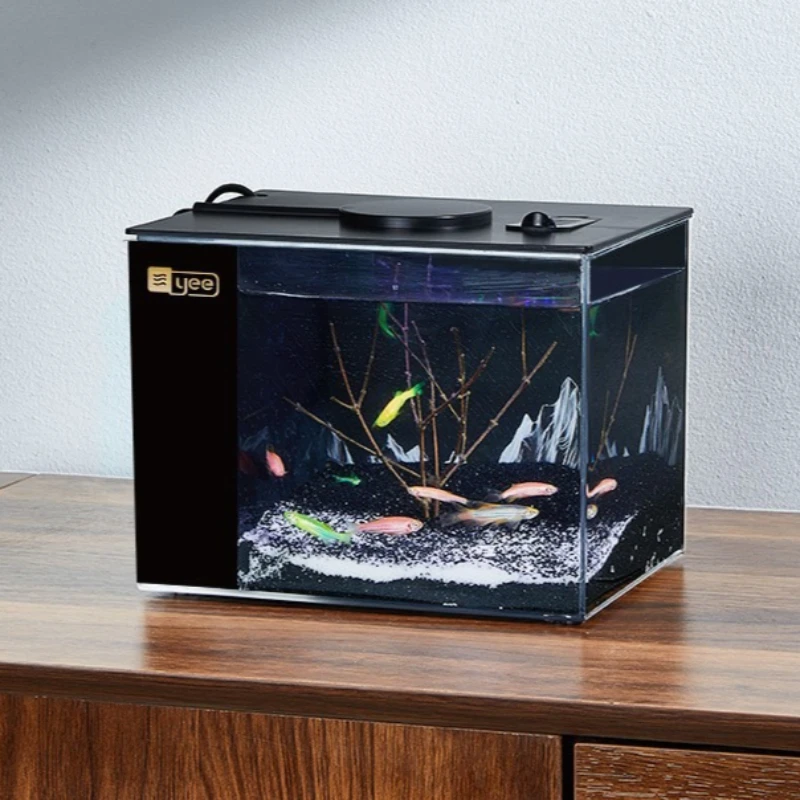 #26 Trending Desktop Fish Bowls Right Now