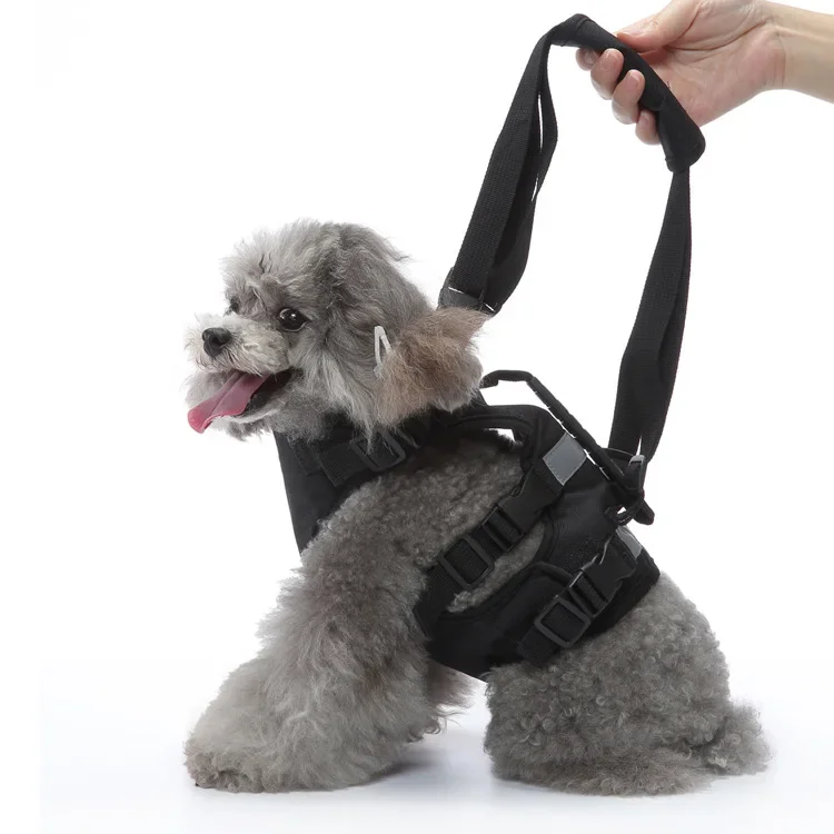 Pet chest strap Multifunctional walking assistance Dog chest strap Reflective adjustable body guard Dog chest back