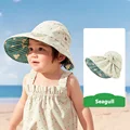 Seagull