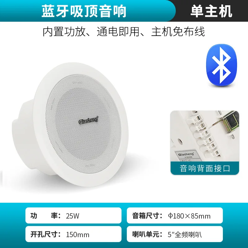Haut-parleur de plafond sans fil, Bluetooth, caisson de basses intégré, système sonore pour Home cinéma dans le mur, installation facile, mot de passe, offre spéciale
