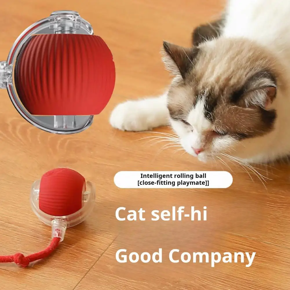 

Interactive Cat Rolling Ball Toy Chew-Resistant Self-Moving Silicone Ball Motion Activate Fast Rolling Pet Ball Toy Anti-bite