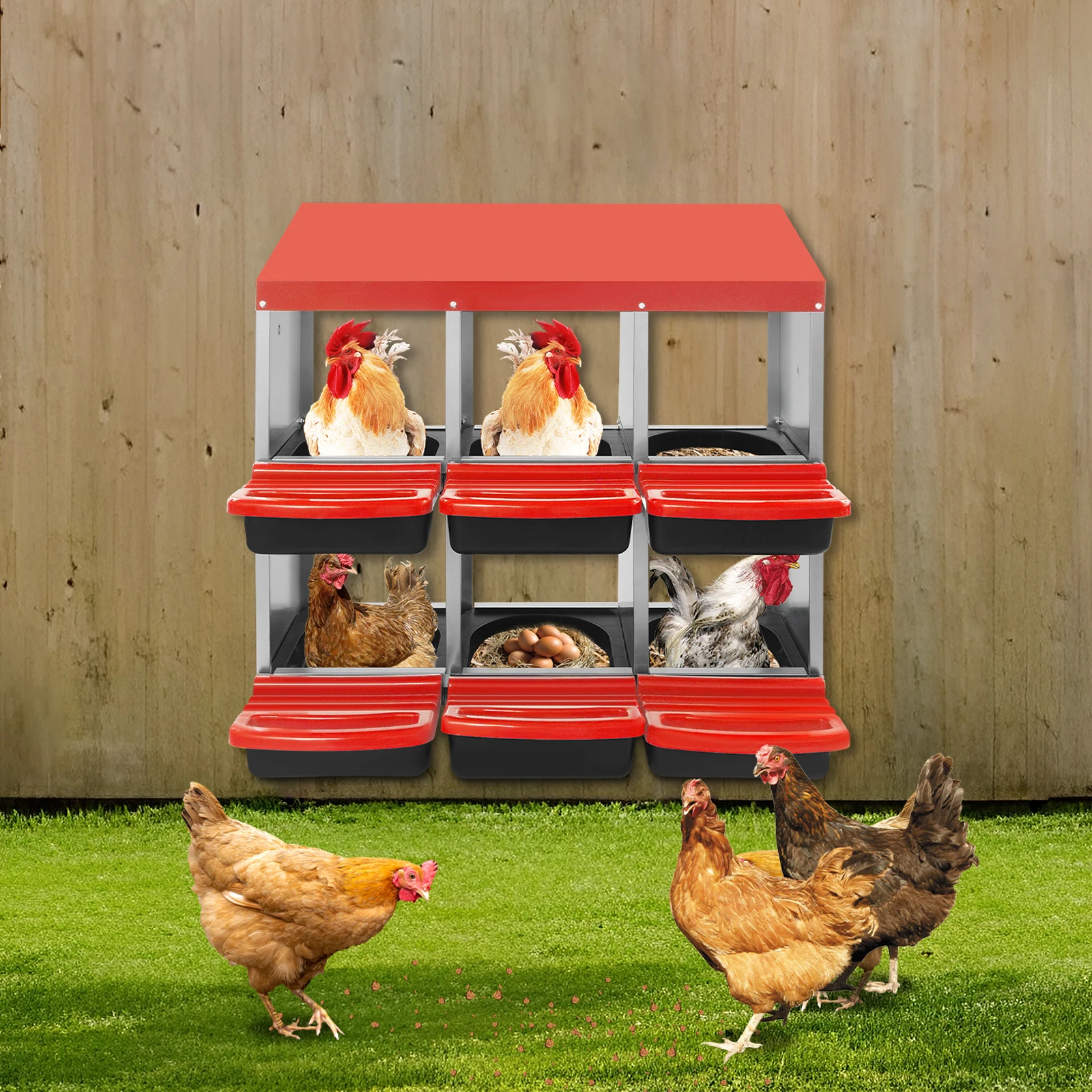 صندوق تعشيش الدجاج، صندوق وضع بيض الدجاج والبط مع فتحات تصريف، 6 مقصورات منفصلة، صندوق معدني ثابت