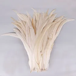 100PCS Chicken Feathers Raw White/Off White Rooster Tails Feather Natural Pheasant Cock Tail Plume DIY Crafts Making Accessory