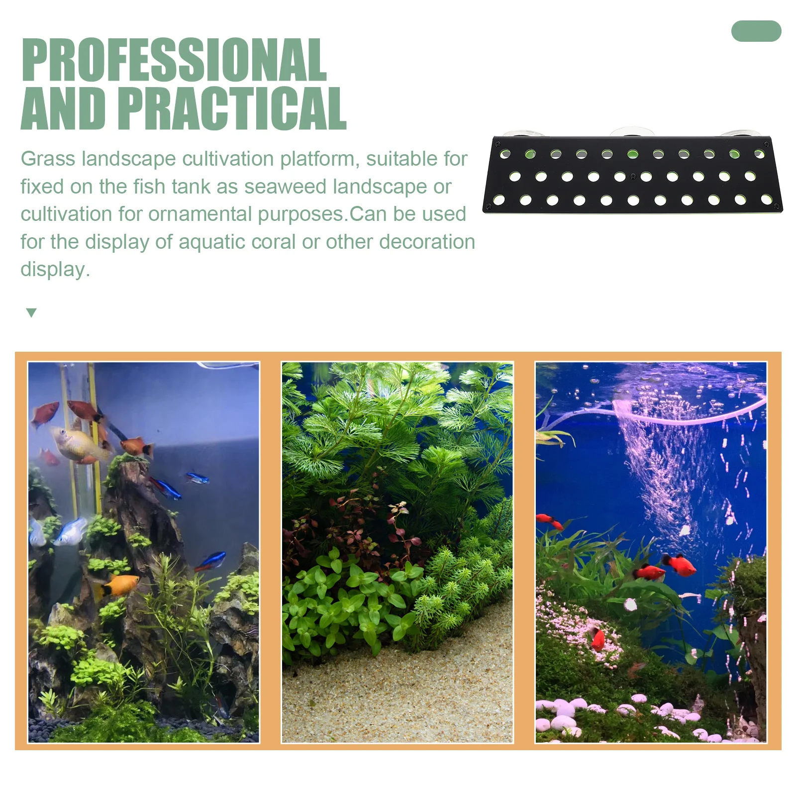 

Coral Rack Acrylic Holder for Aquarium Tank Decorations Wear resistant Easy Installation Coral Support Display