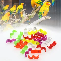 10Pcs Bird Pigeon Quail Foot Rings Small Parrot Leg Rings With Number Inner diameter 2.7mm 3mm 4mm 4.5mm 5mm Bird Supplies