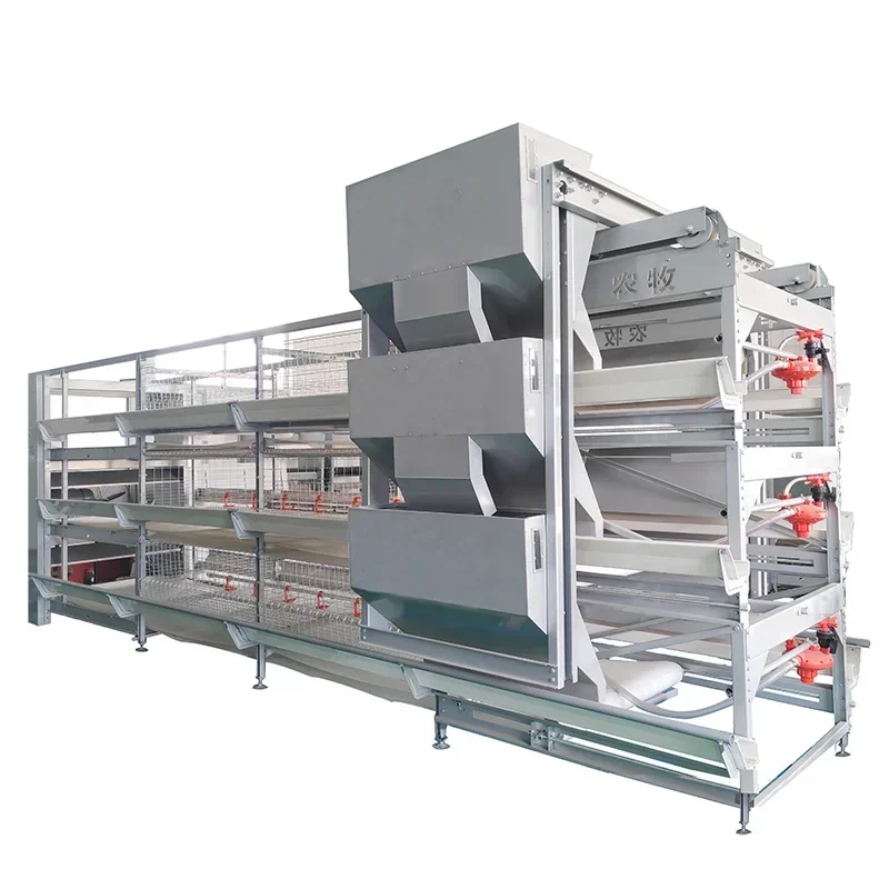 broiler cage new design ventilate battery automatic manure removal