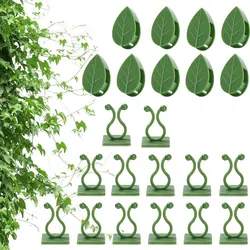 Clips de fijación para plantas trepadoras, ganchos autoadhesivos invisibles para fijación de pared, soporte de vides para decoración del hogar, 10 unidades