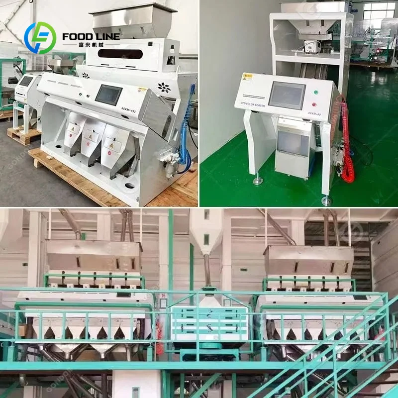 Customized Fruit Color Sorter Sorting Machine for Coffee Wheat Spice Grain Intelligent Optical High Precision LED Sensor