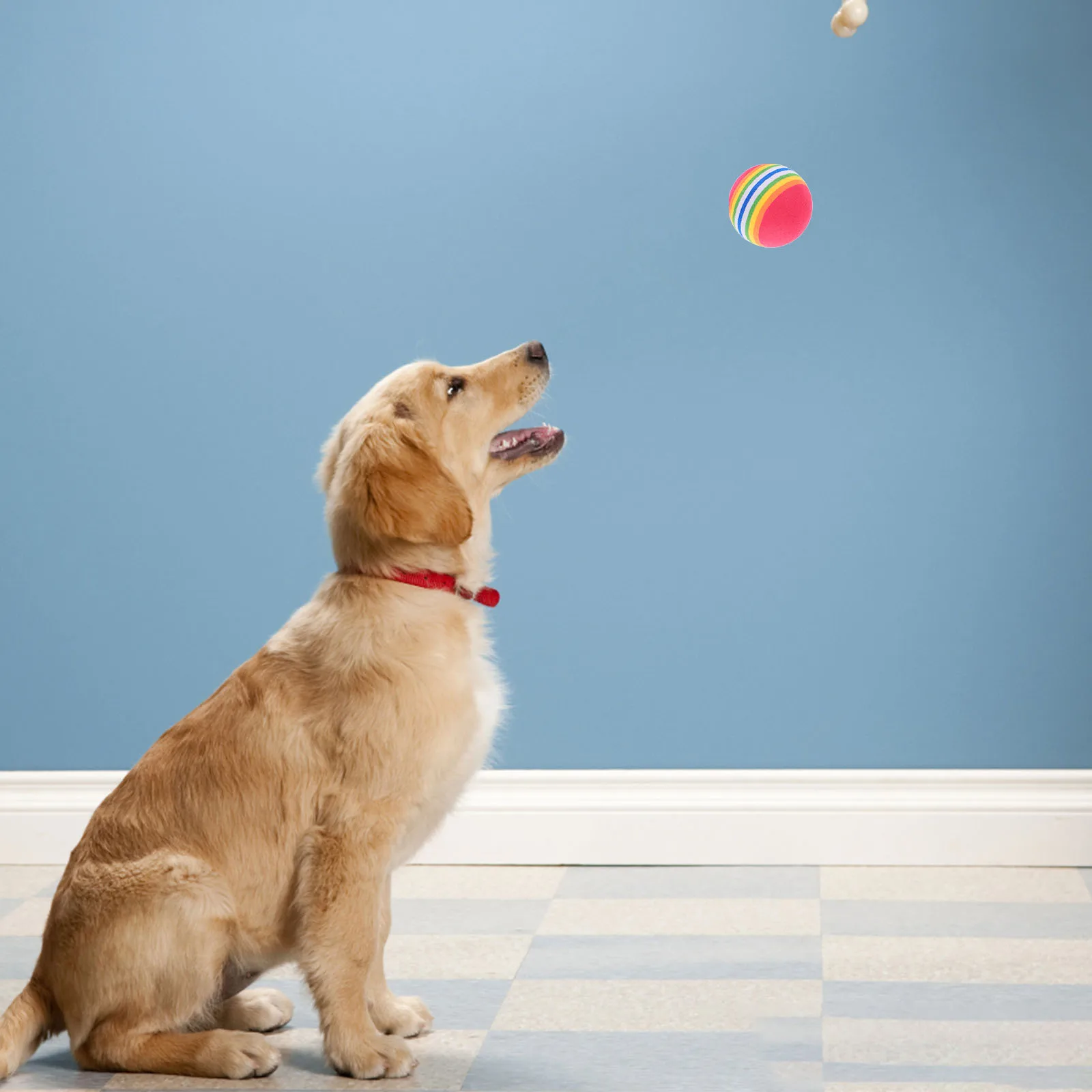 

10pcs Floating Rainbow Ball Toys Lightweight Soft EVA Foam Cats Dogs Interactive Chew Training Teeth Balls Pet Supplies