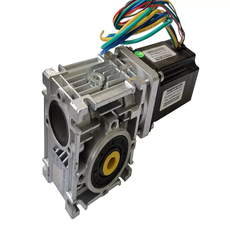 24v 1200rpm brushless motor driver custom selflock gear dc motor with profitable price