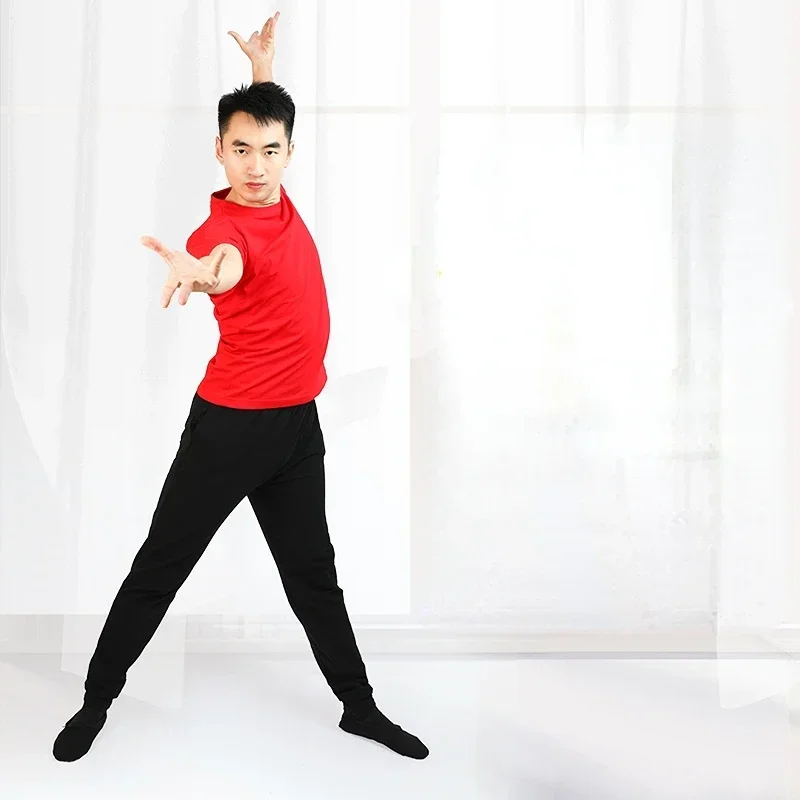 클래식 무용 훈련복 성인 몽골 바지, 우아한 현대 무용 상의, 민속 무용 연습 코스튬 의류