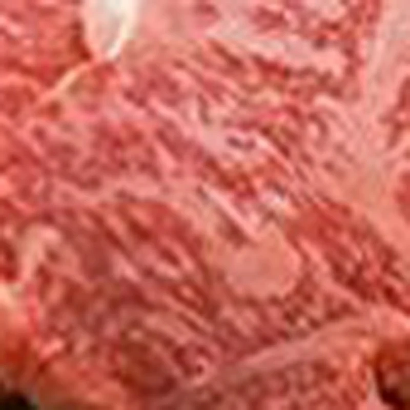 Industrial Desktop Best Price Meat Grinder Electric Meat Grinder Pork Beef Grinding Processing Machine
